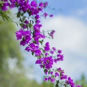 Meet your Posher, Miriam